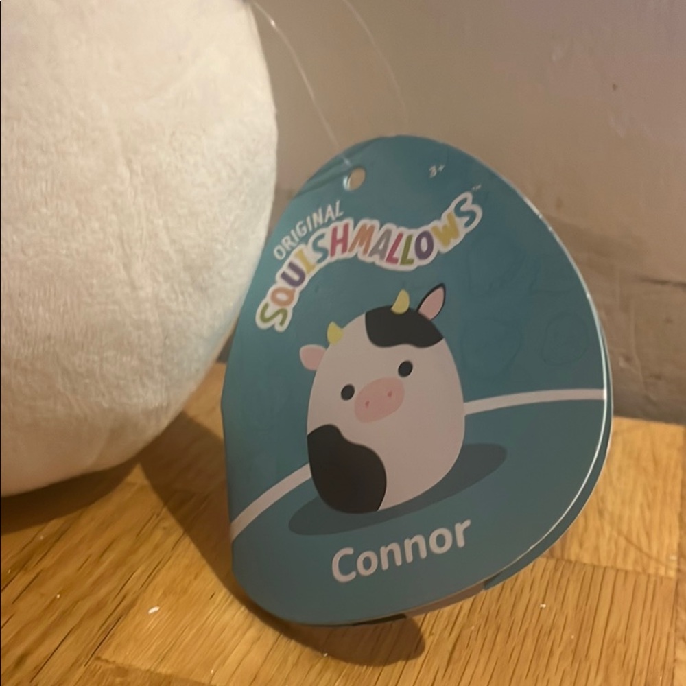 Connor Cow - Picture 2 of 3
